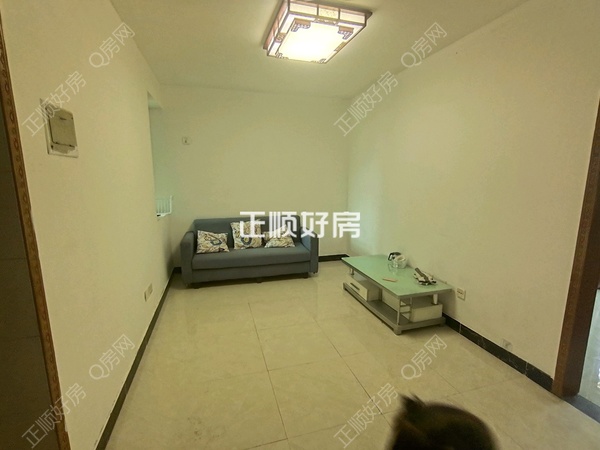 客厅