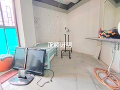客厅