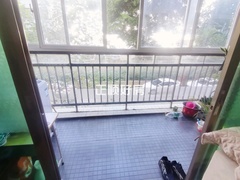 客厅