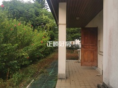 大门