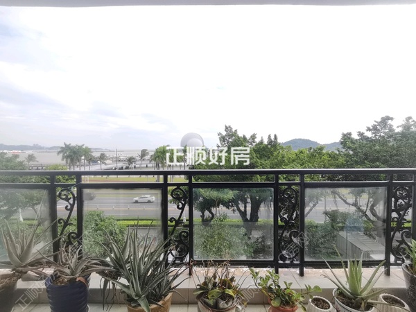 客厅