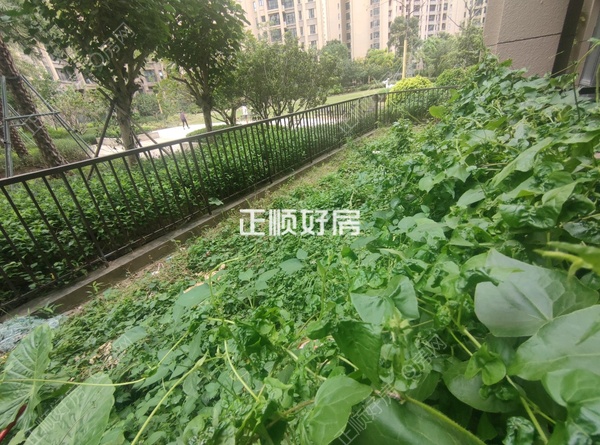 客厅
