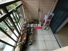 客厅