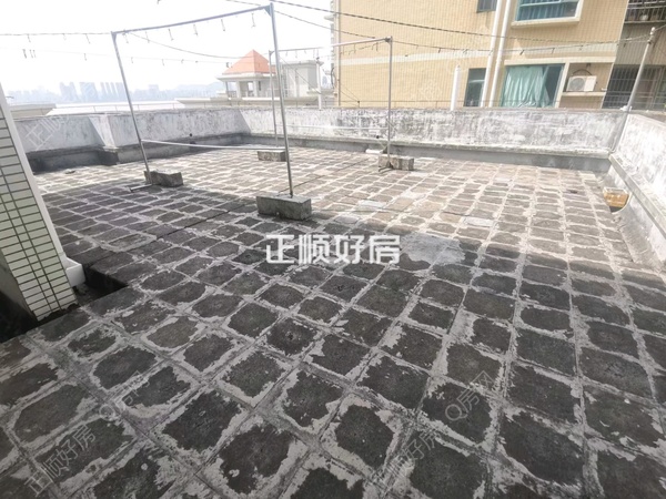 客厅