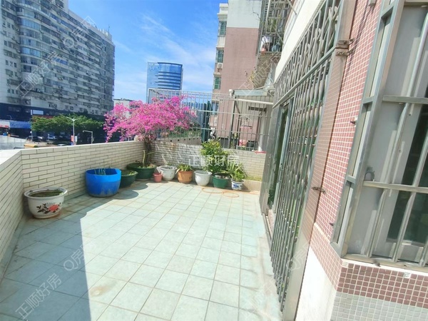VR看房