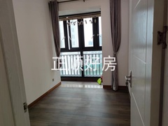 sF28FB640C80D4BF0AAD16573FC98DD51.jpg