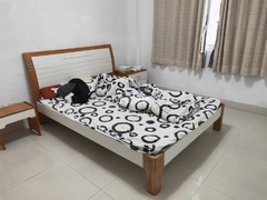 sF418A6898DFC4BC48BA525B493359B43.jpg