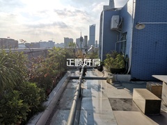 平台