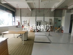 客厅
