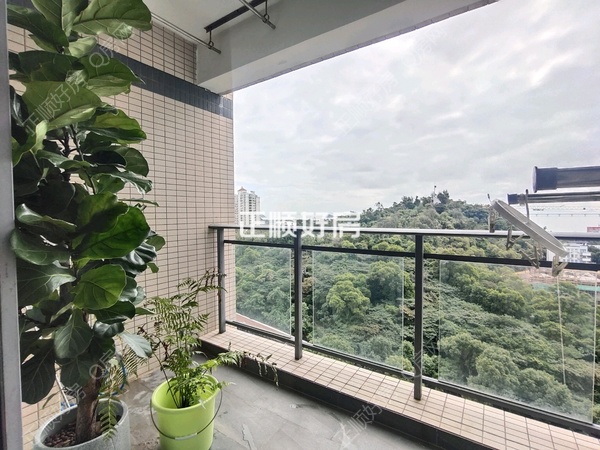 客厅