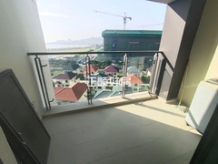 客厅