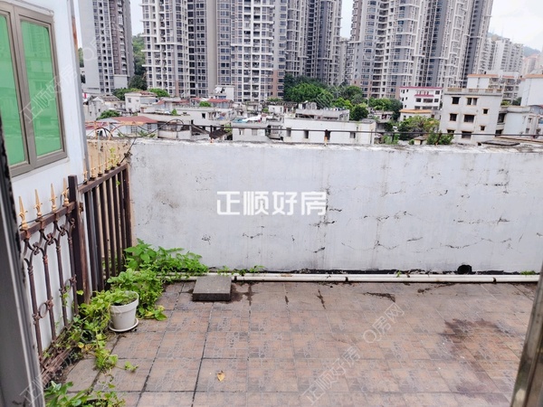 客厅