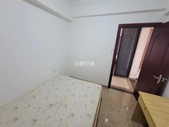 s0D1675D1CCD340C0B54420120000643B.jpg
