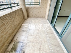 s543D027254C446C789E7DD65348F7DD6.jpg