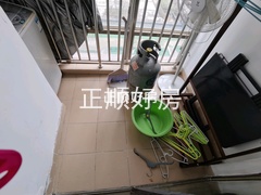 客厅