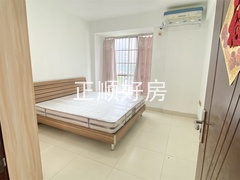 s8080F828E2DB42D3823404D6A55B2F1E.jpg