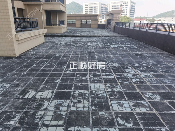 客厅