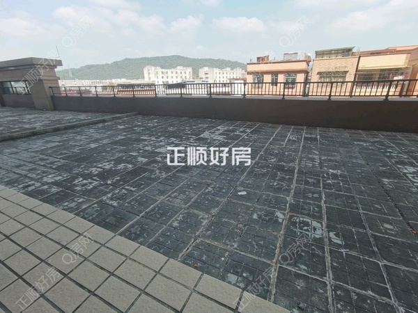 客厅