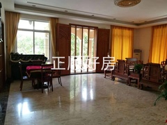 s965B984E62B64AB28B1A332B19F89E96.jpg