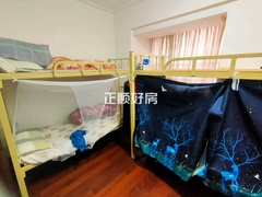 客厅