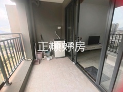 客厅