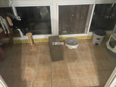 阳台
