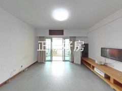 s15C3366BD2774C2E9AAF4D49499383A6.jpg