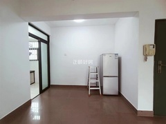 s241CAC538C3349EFBA67D5A61F65DE2F.jpg