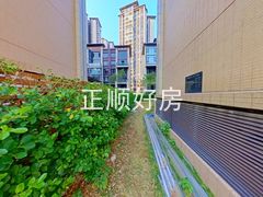 花园