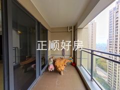 阳台-oTVuSB5g-0.jpg