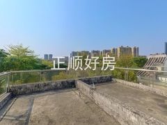 天台-Lb53YvJr-0.jpg