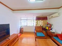 客厅