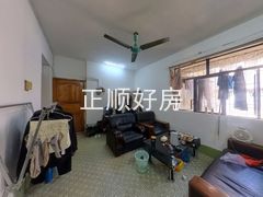 客厅