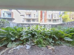 花园