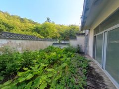 花园-x1gomgSt-0.jpg