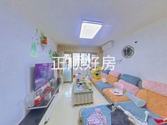 客厅