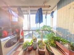 阳台-tKqmwx91-0.jpg