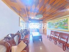 客厅