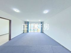 客厅