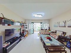 客厅