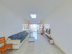 客厅