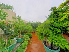 3楼花园