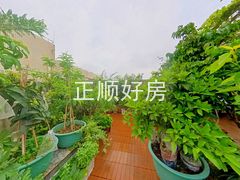3楼花园