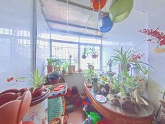 阳台