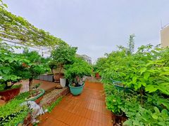 3楼花园