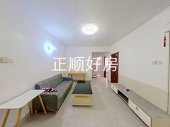 客厅