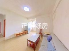客厅