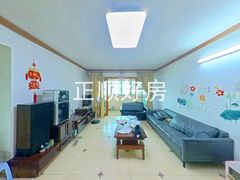 客厅