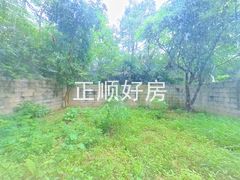 花园