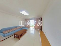客厅